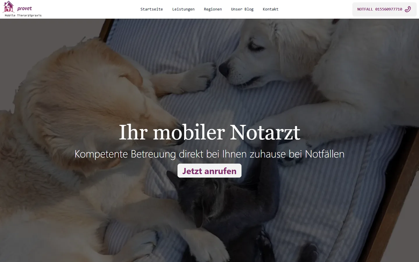 Provet Tierarzt Notdienst, Desktop